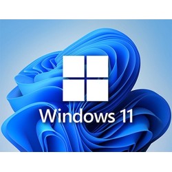 Windows 11 Pro Retail Key (Kurumsal)